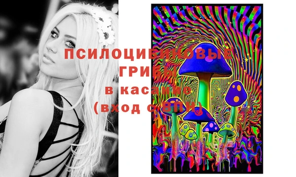 стафф Абаза